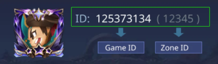 Userzoneid.png